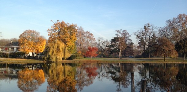 diner d'automne