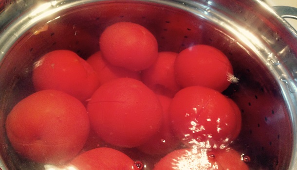 monder les tomates 2