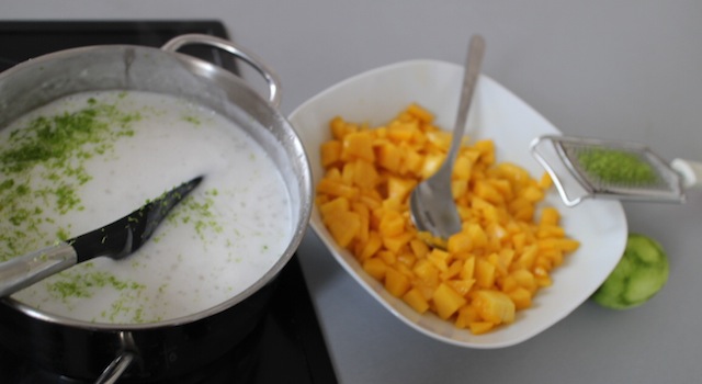 tapioca cuit au lait de coco et mangue - Tapioca au lait de coco, mangue et aloé vera