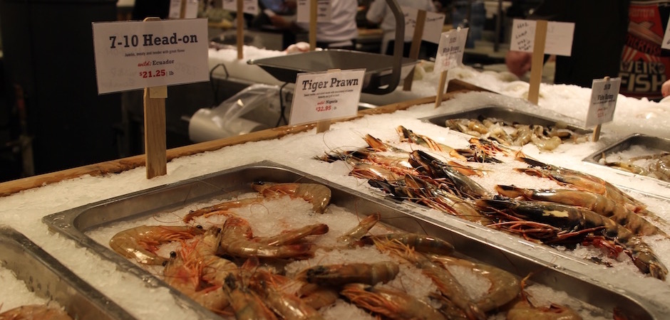 crevettes géantes tropicales vivantes rares - Pont de Brooklyn Manhattan New-York Foodie - le voyage gastronomique