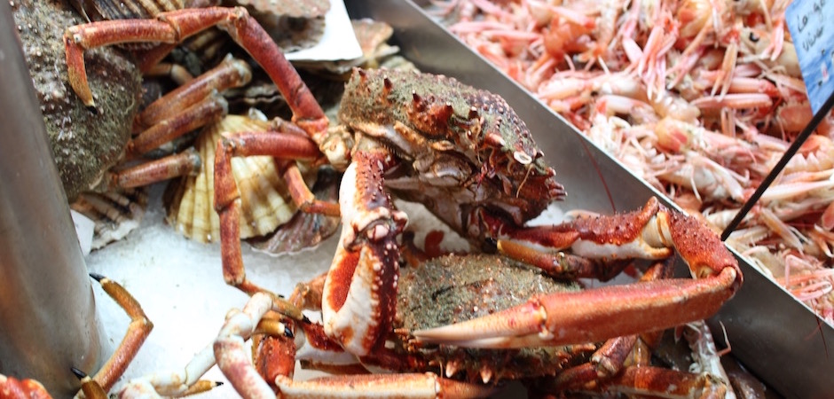 crabe tourteau frais - Le marché de Talensac - la visite foodie à Nantes