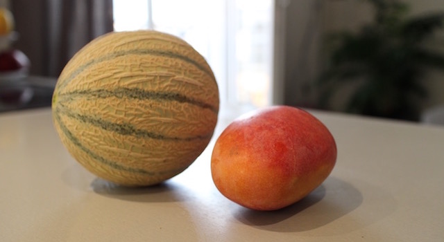 ingredients-sorbet-melon-mangue