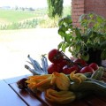 ingrédients des Tagliatelles toscanes aux fleurs de courgettes