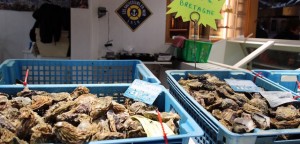 huitres fraiches de bretagne - Le marché de Talensac - la visite foodie à Nantes